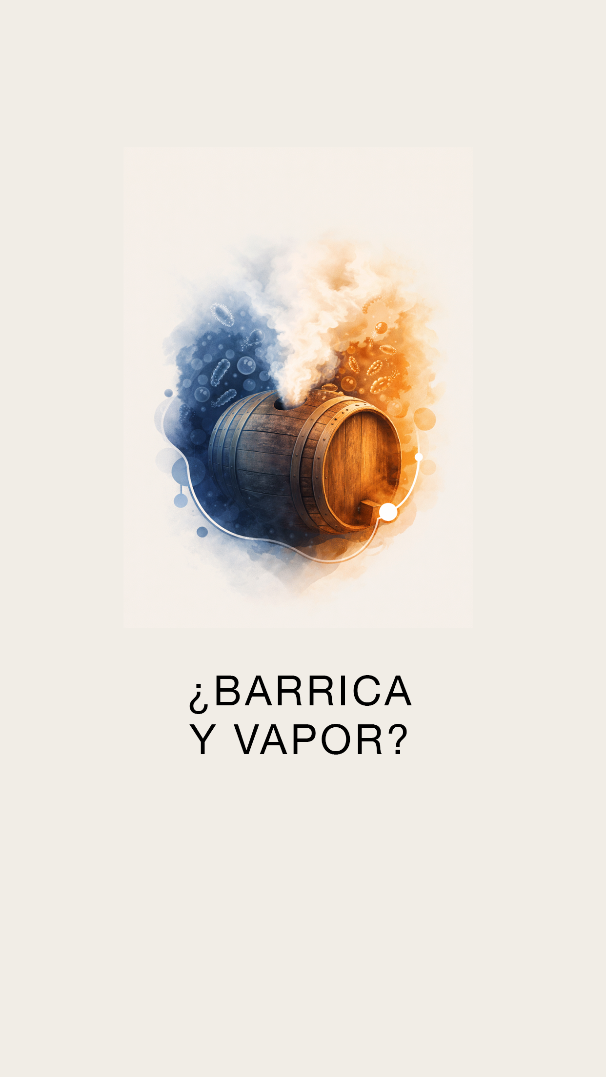 ¿Barrica y Vapor?
