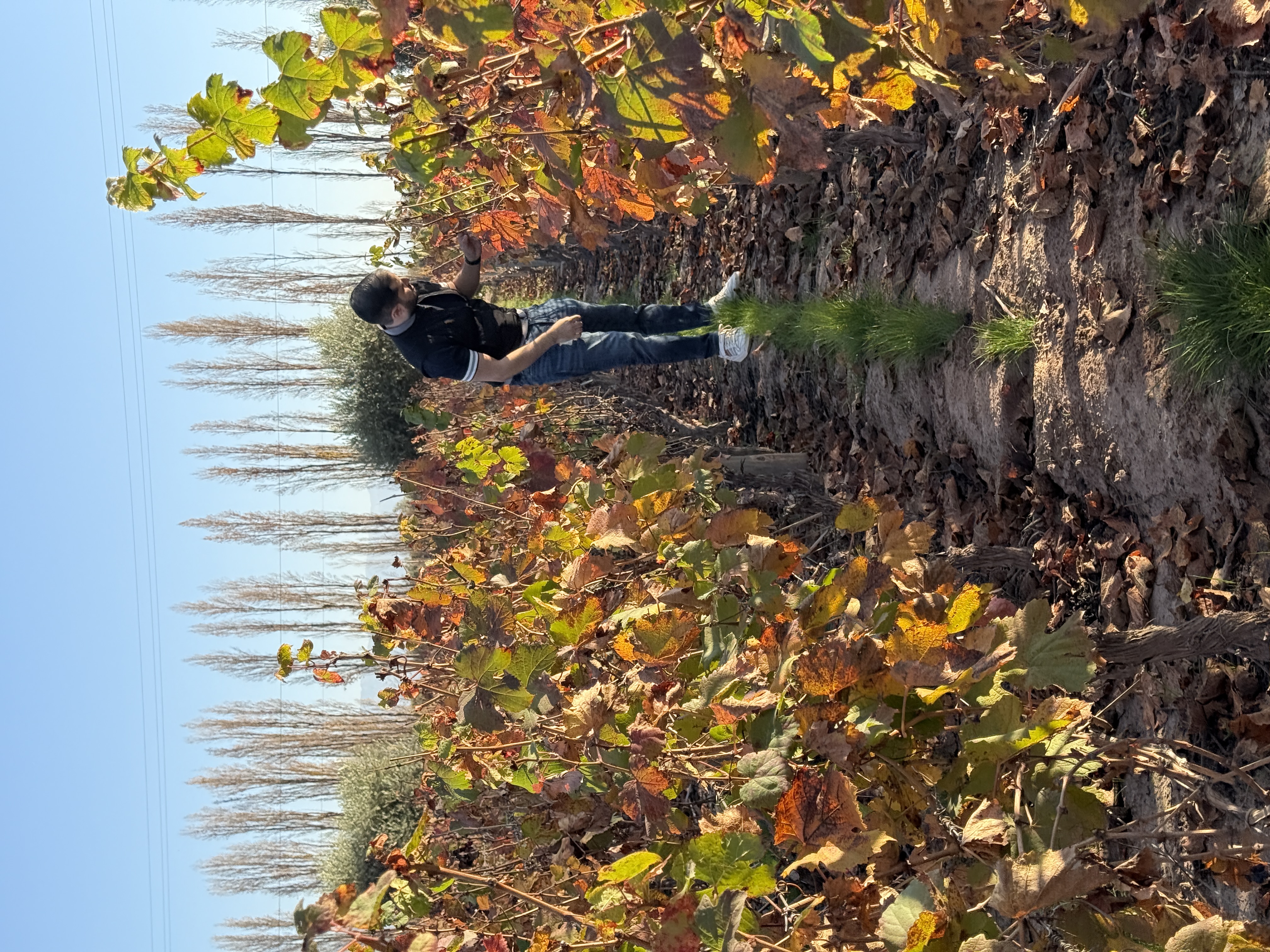Patrick Richaud en viñedo